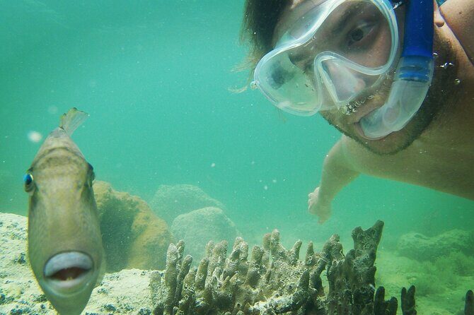 Biologist Owned & Operated: Dolphin Watching & Guided Snorkeling - Weather and Safety Reality: When Snorkeling Feels Tough