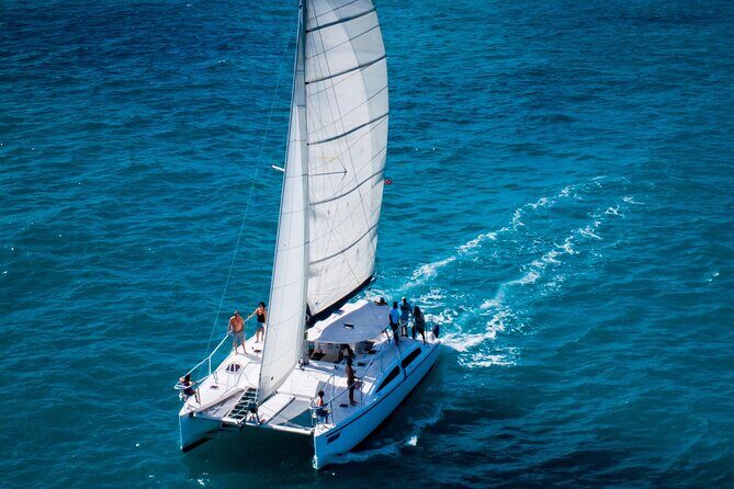 Champagne Dolphin Sail and Reef Snorkel - Quick hits before you book