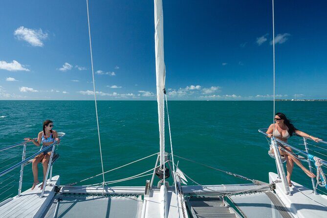 Champagne Dolphin Sail and Reef Snorkel - A Key West catamaran built for real dolphin time