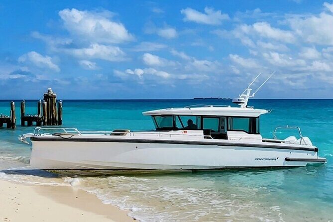 Dry Tortugas National Park Day Trip by Luxury Private Boat - Price and fees: what $1,500 really buys (and what to budget)