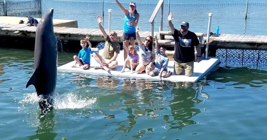 Florida Keys: Dolphin Research Center Day Tour with Lunch - Key highlights to look for