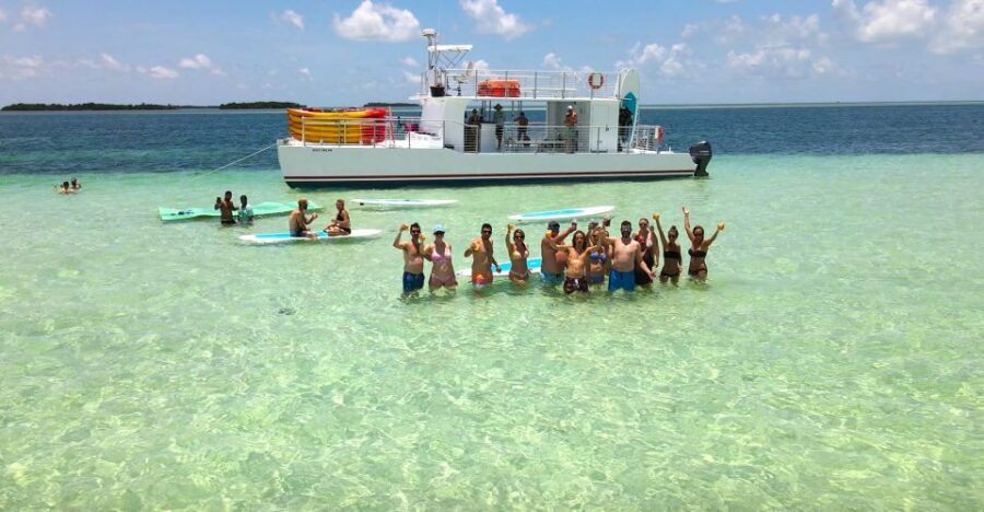 From Key West: Dolphin Watching Tour with Lunch & Drinks - Key highlights that make this tour click