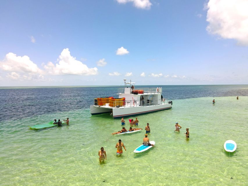 From Key West: Dolphin Watching Tour with Lunch & Drinks - Who This 5-Hour Tour Fits Best (And Who Might Hesitate)