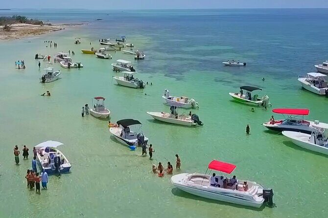 Full Day Charter Snorkeling Sandbar and Eco Safari Adventure - Key points before you book