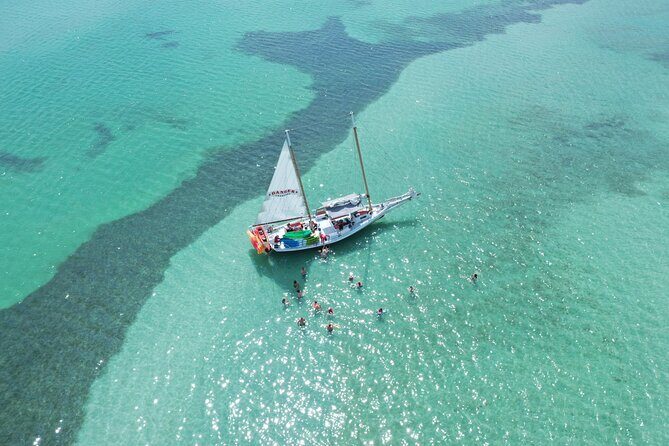 Half-Day Morning Trip from Key West with Kayaking and Snorkeling - Gear, Wetsuits, and the Briefing That Makes First-Timers Relax