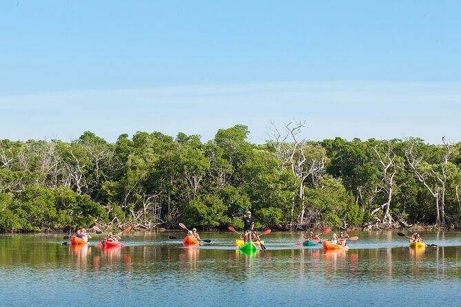 Half-Day Morning Trip from Key West with Kayaking and Snorkeling - The Small-Group Cap (20 People) Is More Than a Number