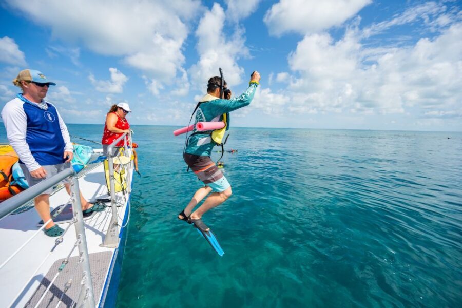 Key West: Afternoon Reef Snorkel Tour with Open Bar - Why This Afternoon Tour Works Better Than a Quick Half-Day
