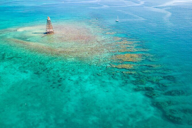 Key West Afternoon Reef Snorkeling with Open Bar - Key West reef snorkeling highlights in plain English