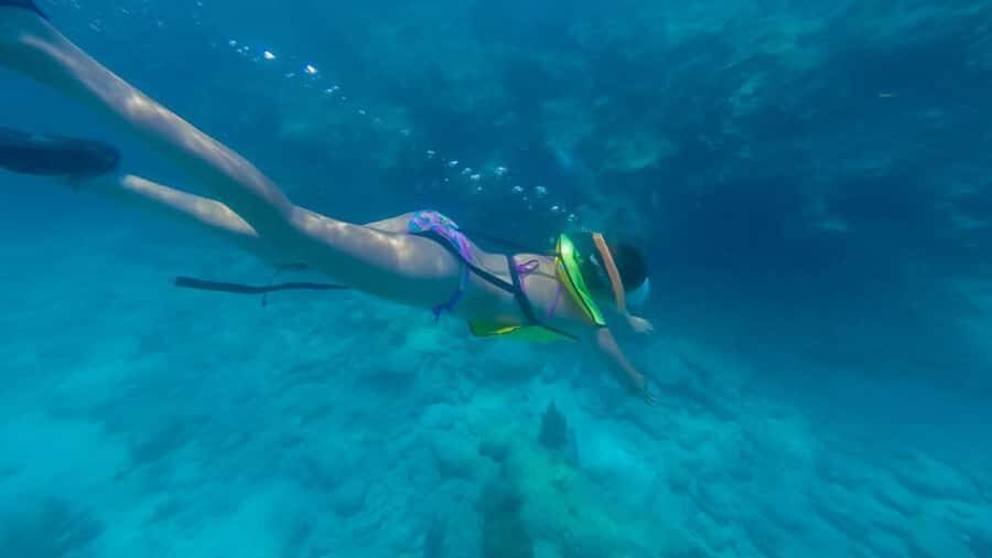Key West: Catamaran Snorkel with Seafood Boil and Open Bar - Key points to know before you go