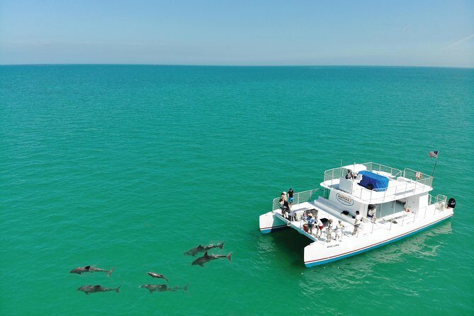 Key West Dolphin and Snorkel Experience - The Dolphin Playground stop: resident dolphins up close