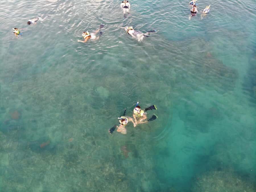 Key West: Dolphin & Reef Snorkel Trip with Sunset Option - FAQ