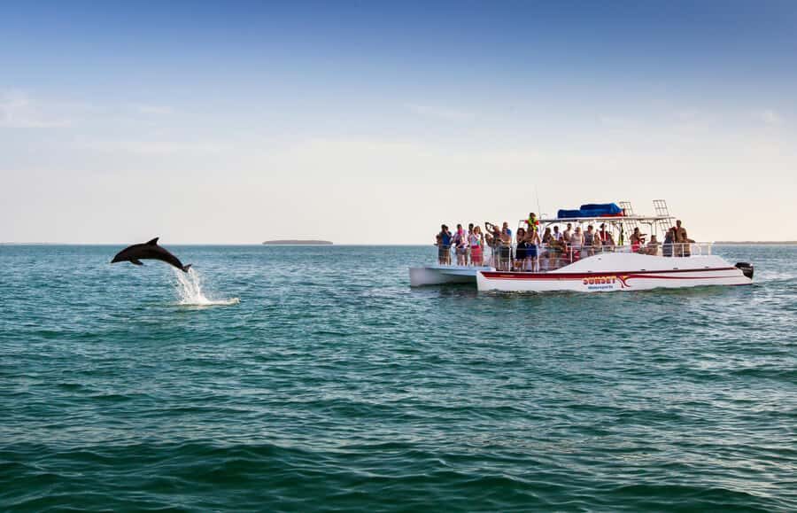 Key West: Dolphin & Reef Snorkel Trip with Sunset Option - Final Thoughts: Should You Book This Key West Dolphins and Reef Snorkel Trip?