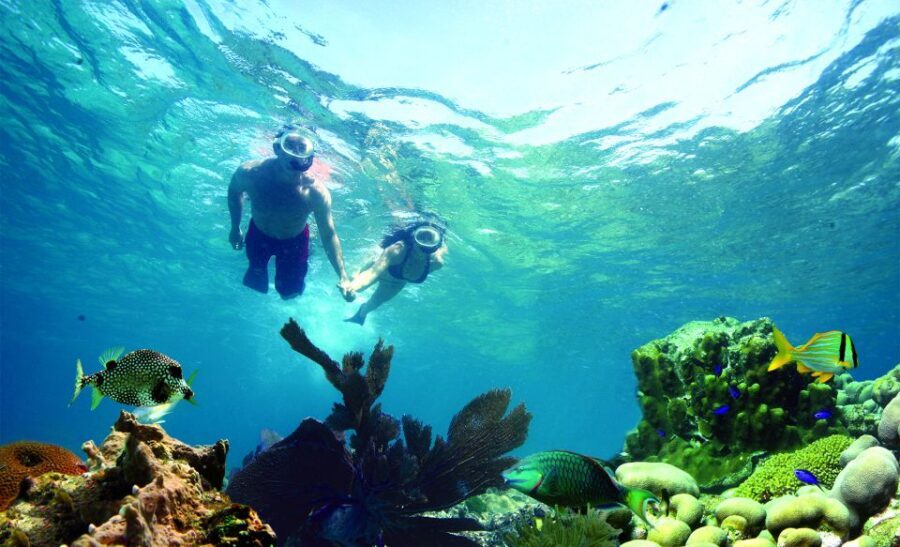 Key West: Dolphin Watching and Snorkeling Eco Cruise Tour - The 45-foot power catamaran: comfort, shade, and drinks