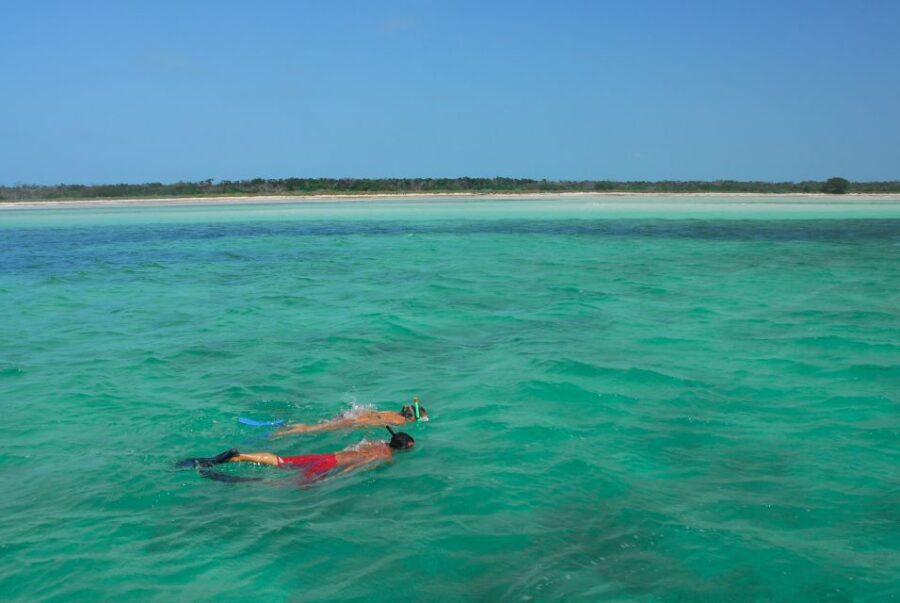 Key West: Dolphin Watching and Snorkeling Eco Cruise Tour - Who should book this tour (and who should skip it)