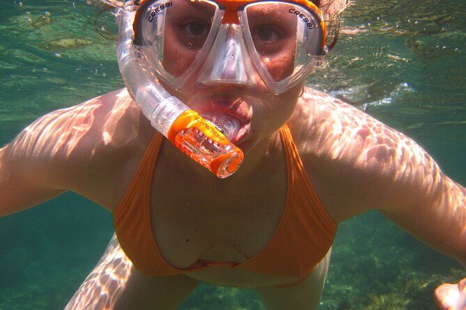 Key West: Dolphin Watching cruise & Snorkeling unlimited beer & soda - Snorkeling on Key West Reefs: Included Gear, Real Marine Variety, and Wind Reality