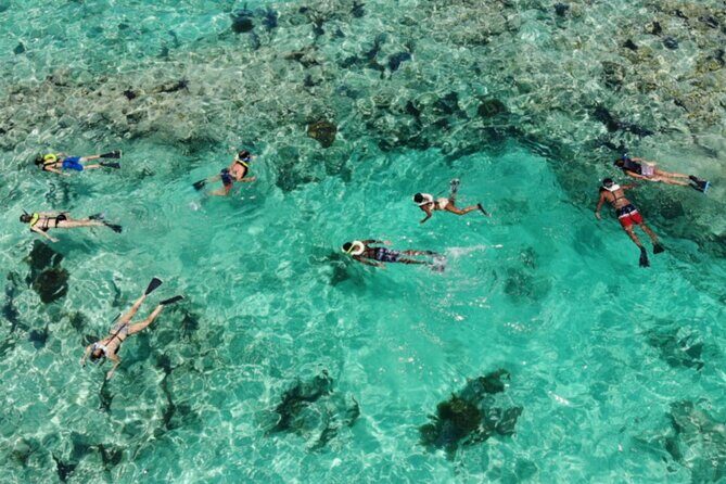 Key West: Dolphin Watching cruise & Snorkeling unlimited beer & soda - Drinks and Timing: Getting the Most Out of a 3-Hour Window