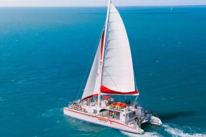 Key West: Dolphin Watching cruise & Snorkeling unlimited beer & soda - What to Bring (So Snorkeling Doesn’t Become a Drag)