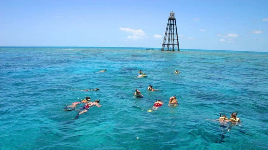 Key West Double Dip: 2-Stop Reef Snorkeling Trip - The Fury Catamaran Ride: Speed, Comfort, and a Friendly Crew Vibe