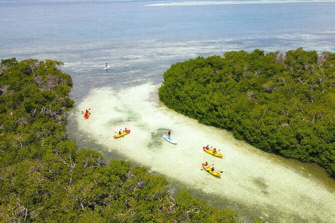 Key West Hidden Sanctuary Mangrove Kayak Tour With Drinks - Key Highlights You’ll Actually Care About