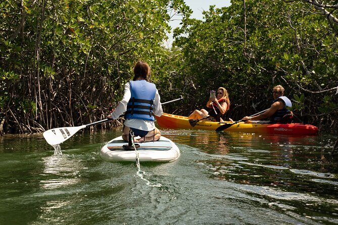 Key West Hidden Sanctuary Mangrove Kayak Tour With Drinks - Florida Keys National Marine Sanctuary: A Wildlife-Focused Start