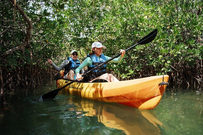 Key West Hidden Sanctuary Mangrove Kayak Tour With Drinks - Drinks and Snacks: Planning for Food Without Making the Trip Complicated