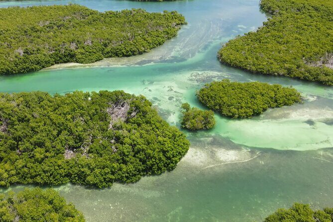 Key West Hidden Sanctuary Mangrove Kayak Tour With Drinks - Price and Value: Is $149.95 Worth It?