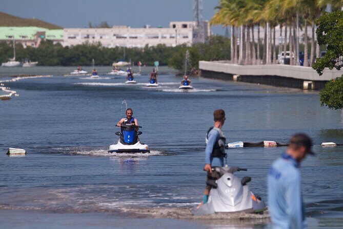 Key West Island Jetski Tour: Double Passenger Jetski - What you might see on the water: fish, turtles, and coral
