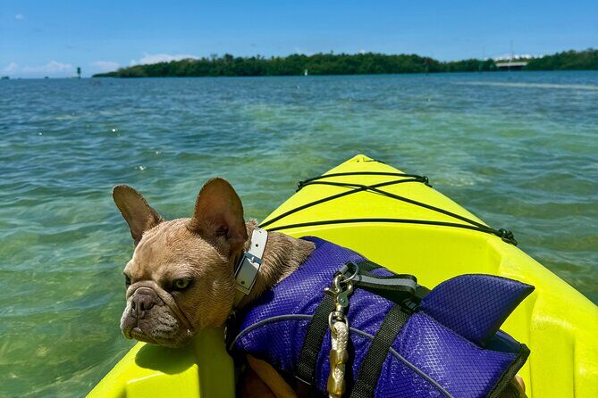 Key West Kayak Eco Tour | An Eco-Friendly Adventure Awaits! - Key Highlights You’ll Feel on the Water