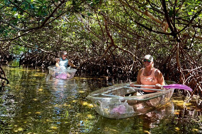 Key West Kayak Eco Tour | An Eco-Friendly Adventure Awaits! - The 2-Hour Paddle in Key West: What You’ll Do Step by Step