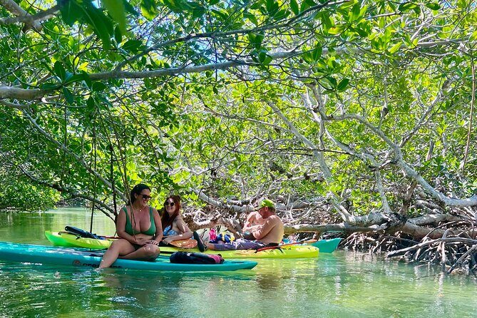 Key West Kayak Eco Tour | An Eco-Friendly Adventure Awaits! - Guide Style, Pacing, and Small Group Energy (Max 18)