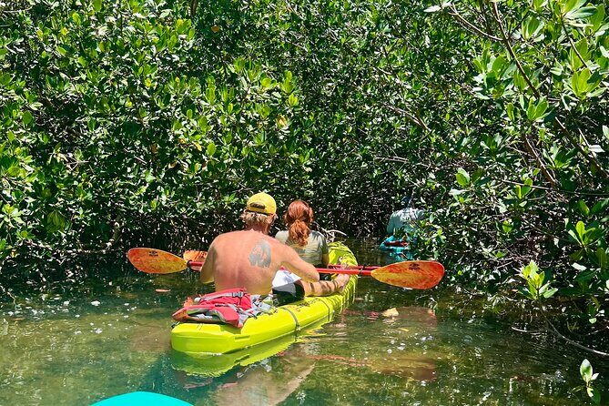 Key West Kayak Eco Tour | An Eco-Friendly Adventure Awaits! - Price and Value: Is $60 Fair for Two Hours in Key West?