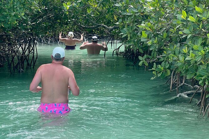 Key West Kayak Eco Tour | An Eco-Friendly Adventure Awaits! - When Weather Changes the Plan: A Practical Note for Key West