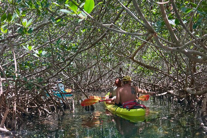 Key West Kayak Eco Tour | An Eco-Friendly Adventure Awaits! - Where You Start and End: Making the Most of Your Time