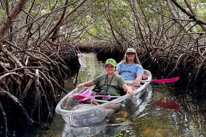 Key West Kayak Eco Tour | An Eco-Friendly Adventure Awaits! - Wildlife You Might Spot: Sharks and Jellyfish Are Part of the Deal
