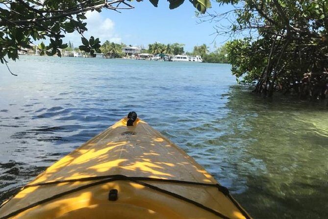 Key West Kayak Rental - Single vs. double kayaks: what it means for families