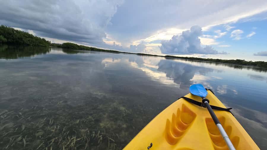 Key West: Mangrove Kayak or SUP Eco Tour - Key West Mangrove Kayak or SUP Eco Tour: The Quick Take