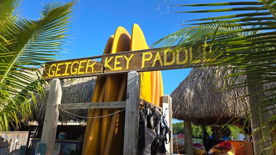 Key West: Mangrove Kayak or SUP Eco Tour - Getting Picked Up: Van Service From Multiple Key West Hotels