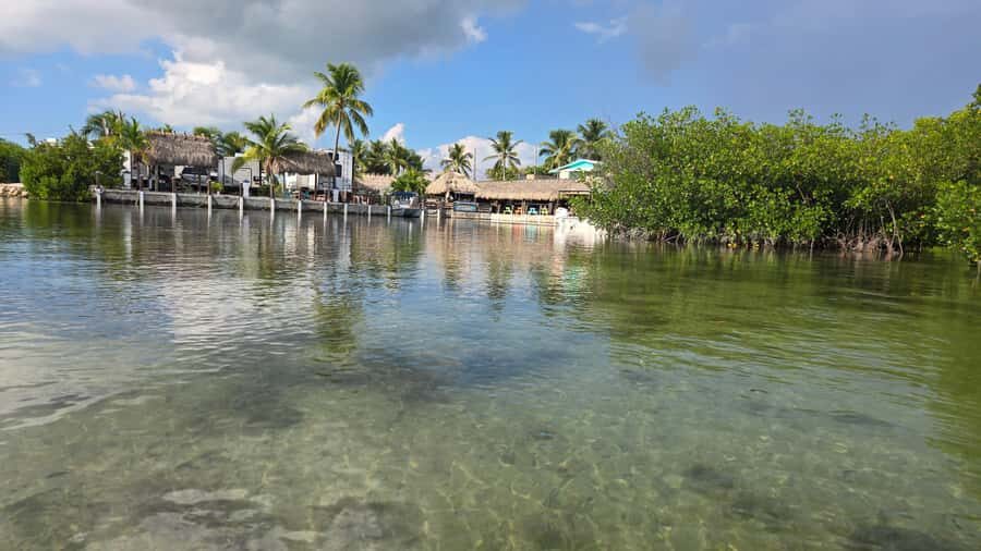 Key West: Mangrove Kayak or SUP Eco Tour - Staying Dry and Protected: Dry Bags and What to Pack