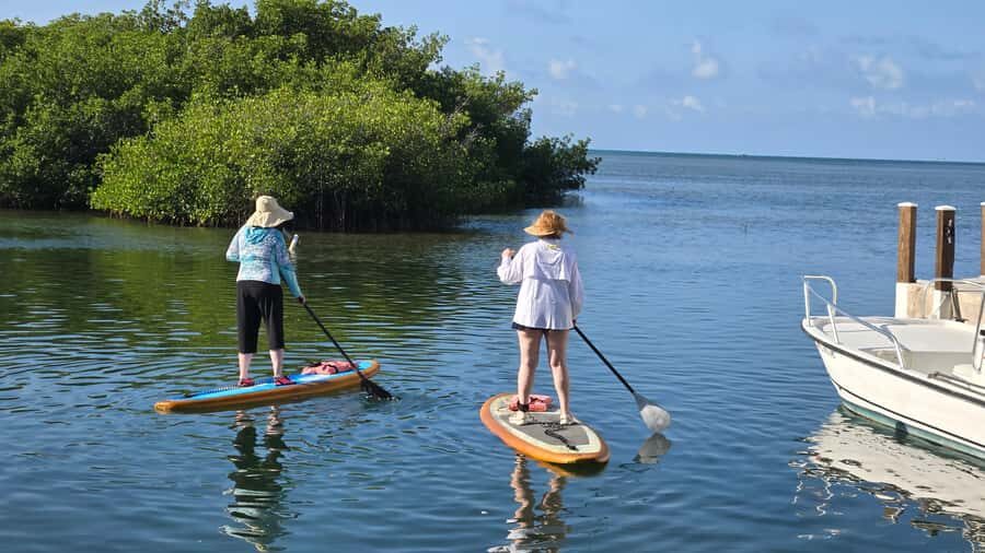 Key West: Mangrove Kayak or SUP Eco Tour - Small Group Paddling: Limited to 2 Participants