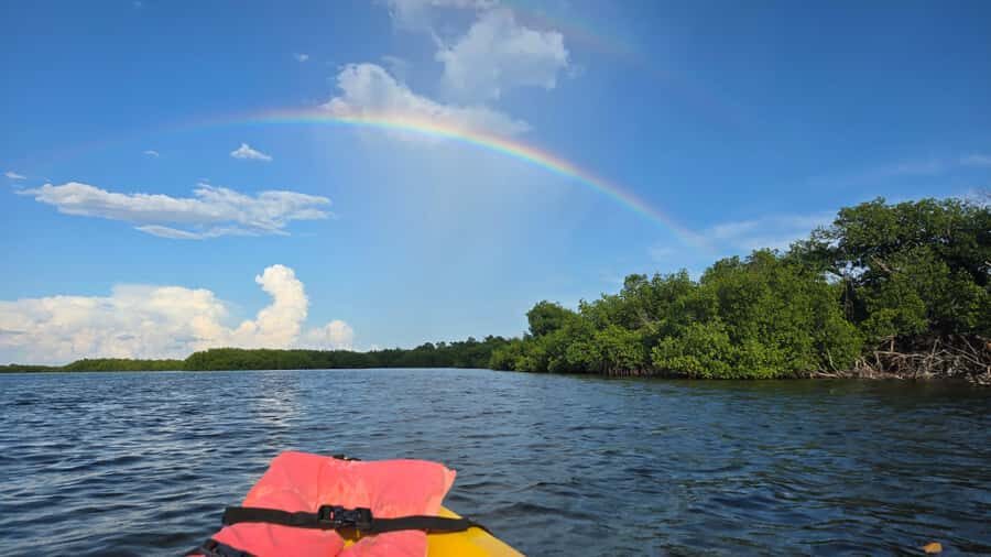 Key West: Mangrove Kayak or SUP Eco Tour - Choosing Kayak vs SUP: Match the Boat to Your Comfort