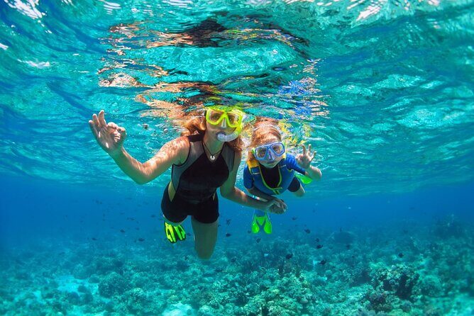 Key West Reef Morning Snorkeling with Breakfast and Mimosas - The Catamaran Ride: Fast Access, Real-World Comfort