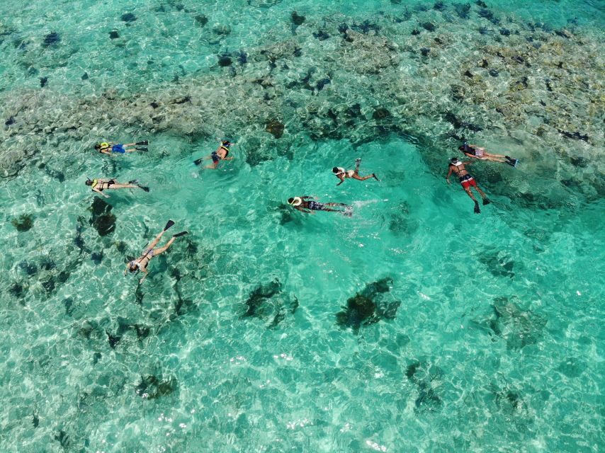 Key West: Reef Snorkel Morning Tour with Breakfast & Mimosas - The people factor: crew energy and named guides