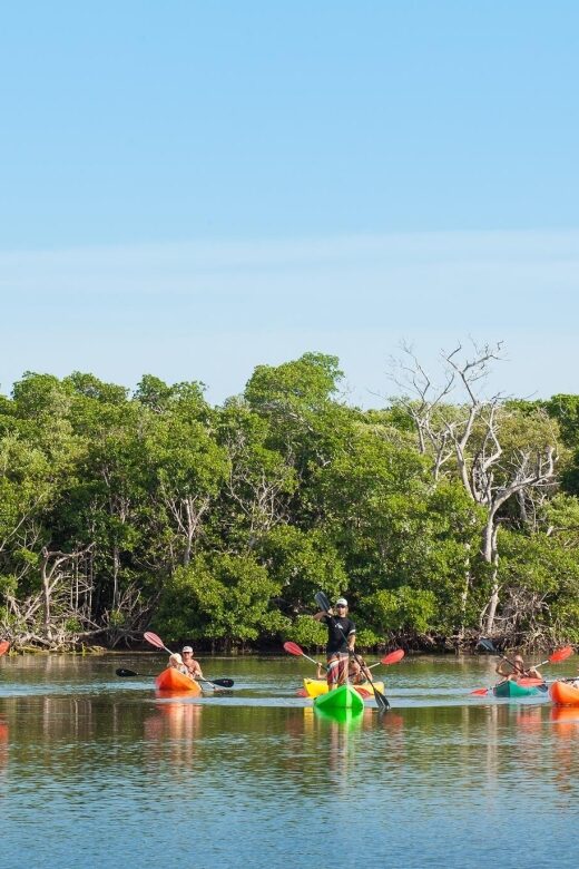 Premium Day Sail, Snorkel &, Kayak with Lunch - Sailing Time Isn’t Just Transit