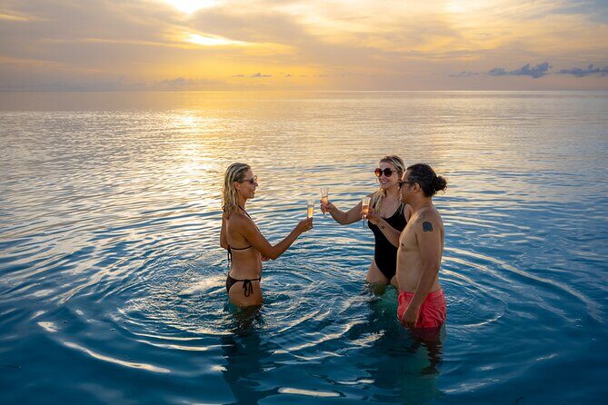Private boat Charter key west, Dolphin tour, Snorkeling & Sandbar - 3.5 Hours On The Water: How The Dolphin Search And Sandbar Time Works