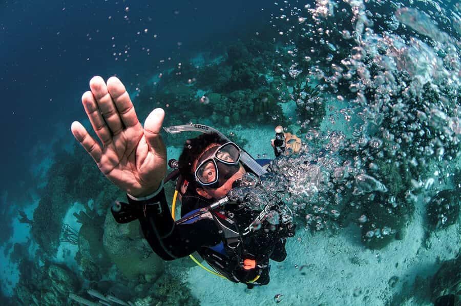 Southpoint Divers: Afternoon Reef Dive Trip - Why this Florida Keys reef scuba afternoon is such a good value