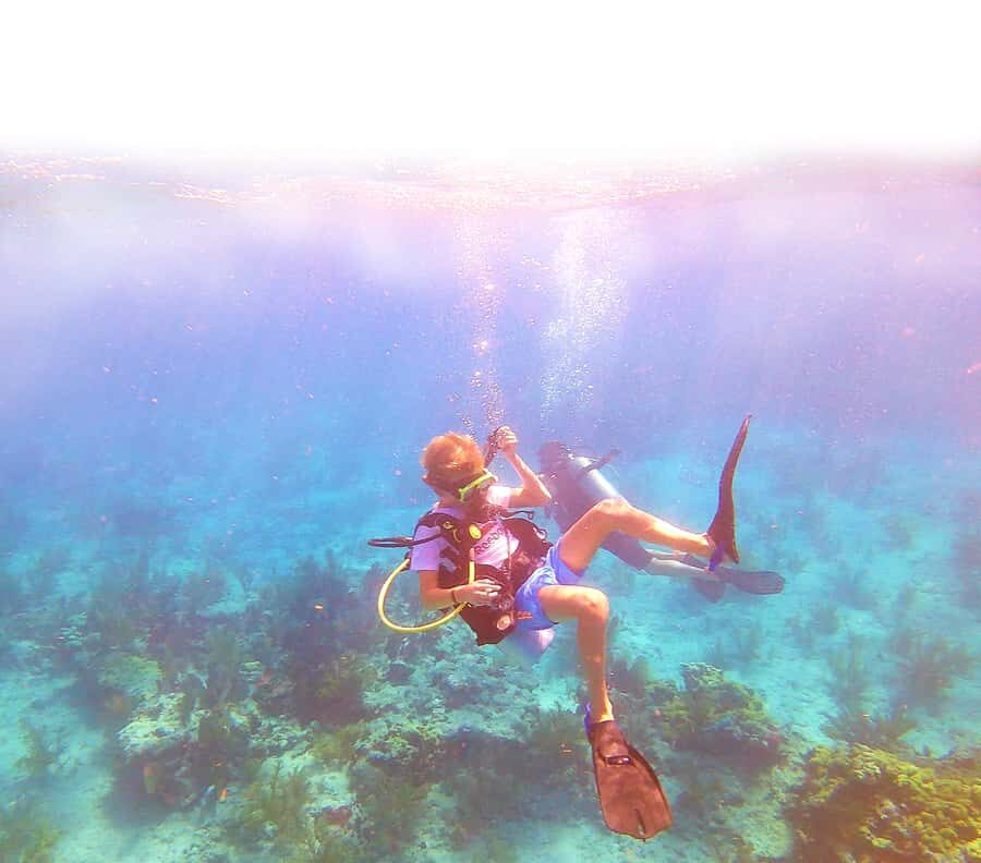 Southpoint Divers: Afternoon Reef Dive Trip - Two tank reef sessions: how the day stays relaxed without feeling rushed