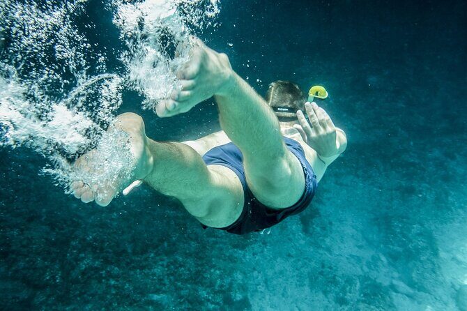Ultimate Key West Day: Dolphin & Snorkel Combo with Sunset Sail - The Midday Gap: Turning Waiting Time Into Real Key West Time